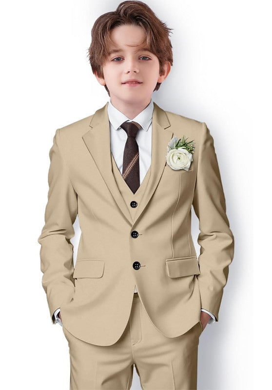 Boy suit 3 piece