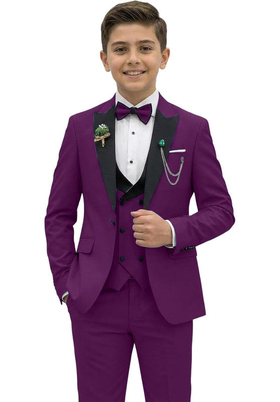 Boy suit 3 piece