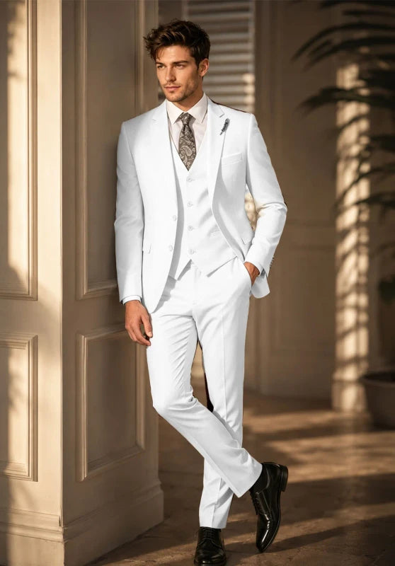 Men's 3-Piece Suit