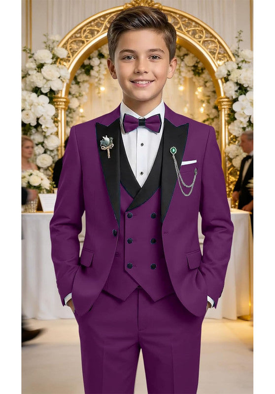 Boy suit 3 piece