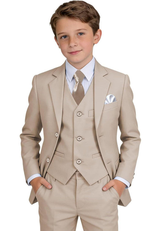 Boy suit 3 piece